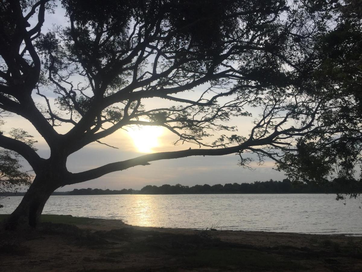Saffron Lake Yala Tissamaharama Dış mekan fotoğraf